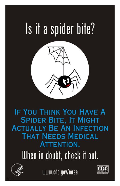 Why Do Our Patients Think They Have Spider Bites Hiv And Id