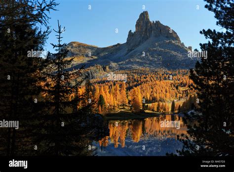 Trees And Becco Di Mezzod Reflecting Into Lago Federa Lake In Autumn