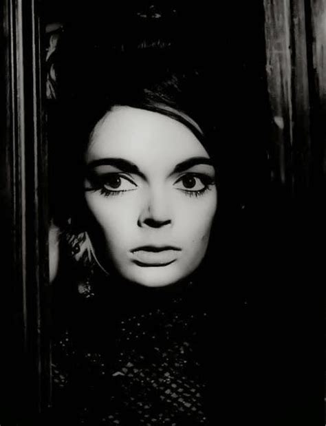 9 Hot Sexy Barbara Steele Bikini Pics