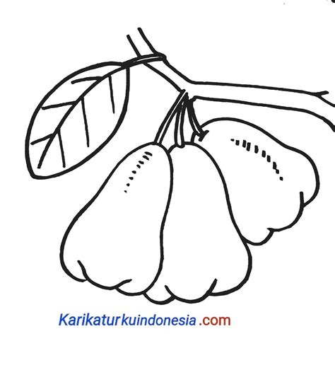 Detail Gambar Pencil Pohon Jambu Koleksi Nomer 12