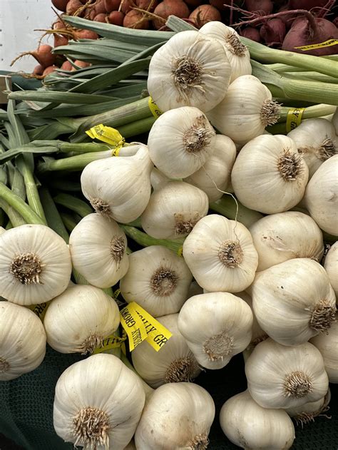 Featured Item: Spring Garlic and Spring Onions | Bellevue Farmers Market