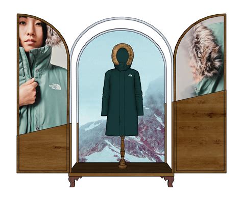 women's north face parkas