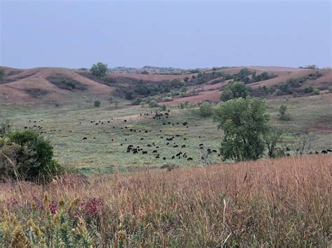 The Nature Conservancy in Nebraska - Home | Facebook