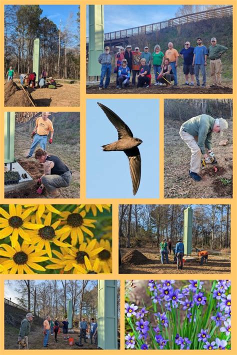 Creating Habitat for Chimney Swifts: A Community Effort - Southern ...