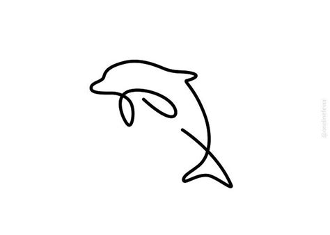 wild lines   collection  animal illustrations drawn