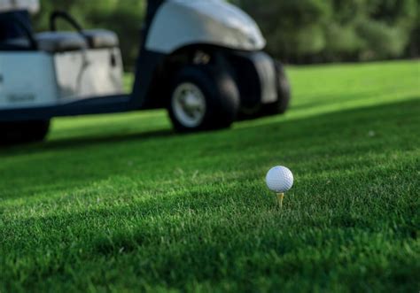 golf cart accessories    knew  sooner mygolfspy