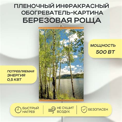 Обогреватель Домашний очаг Настенный инфрокрасный пленочный._Березовая ...