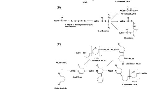 schematic illustration  crosslinking reaction mechanism