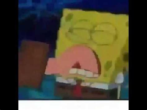 Spongebob Licks The Pussy Youtube