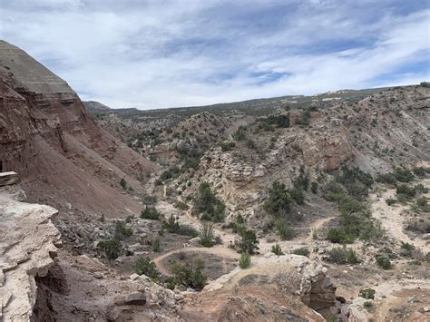 Unearthing Colorado's Hidden Gem: A Detailed Guide to Andy's Trail Loop