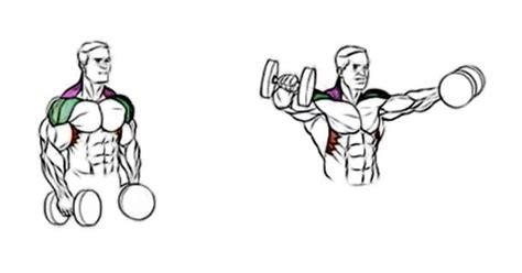 Упражнения на плечи в тренажерном зале для мужчин | JustFitnes