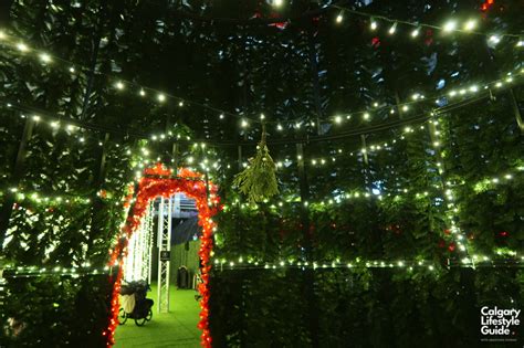 Noel Festival in Calgary | Noel Indoor Light Show | Calgary Lifestyle ...