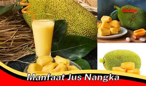 Temukan Manfaat Jus Nangka Yang Jarang Diketahui Biotifor