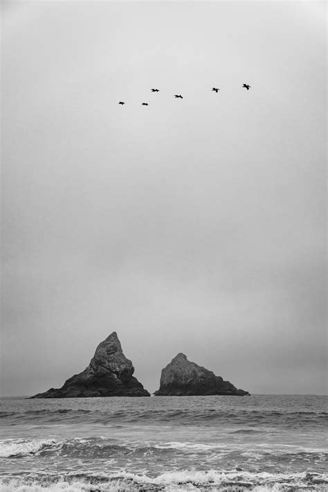 A7c02743 Phil Chen Flickr