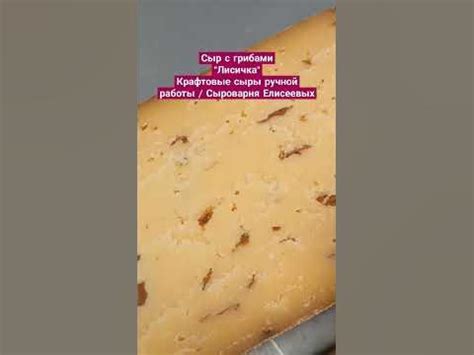 Сыр с грибами"Лисичка"Крафтовые сыры ручной работы / Сыроварня ...