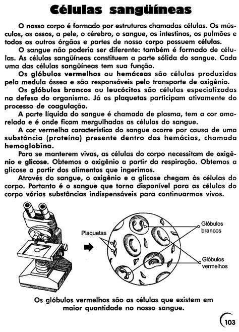 Atividades Sobre Sistema Nervoso 6 Ano