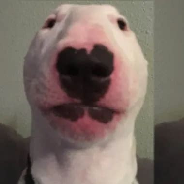 Nepalesische M Dchen Haben Lesbischen Sex Xhamster