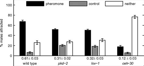 The Species Sex And Stage Specificity Of A Caenorhabditis Sex
