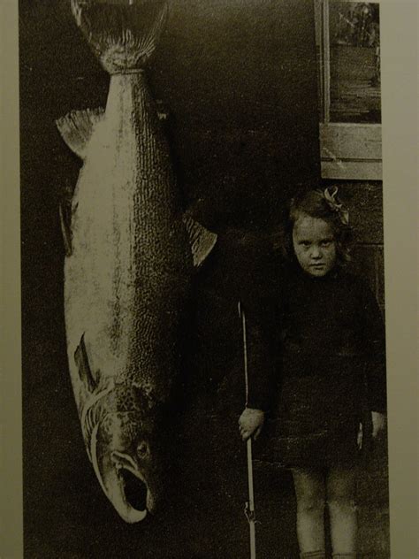 Salmon Fishing Scotland Salmon Fishing Scotland Giant Salmon Caught