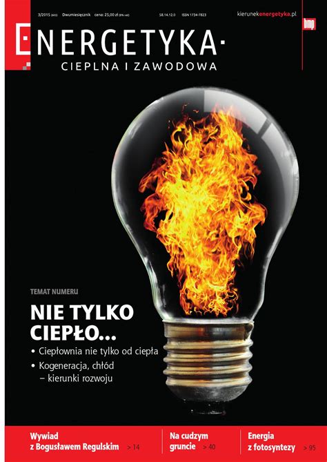 3 2015 Energetyka Cieplna I Zawodowa By BMP Sp Z O O Issuu