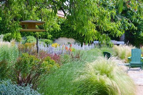 Así se diseña un jardín en el que hay mucha biodiversidad Foto 7