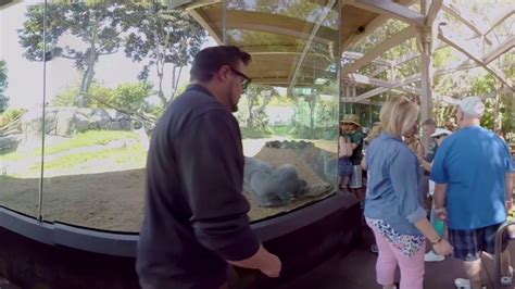 San Diego Zoo Exhibit Tour In 360 Video Virtual Reality Youtube