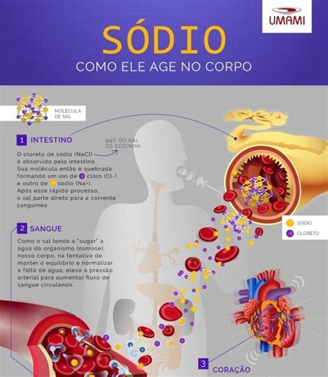 Onde É Encontrado O Sódio - DIVERSAMENTO: Infográfico: Sódio - Como ele age no seu corpo