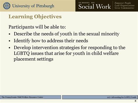 Advocating For Lesbian Gay Bisexual Transgender And Questioning Lgbtq Youth The