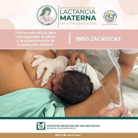 Imss On Twitter Rt Imsszac La Lactanciamaterna Es La Forma M S