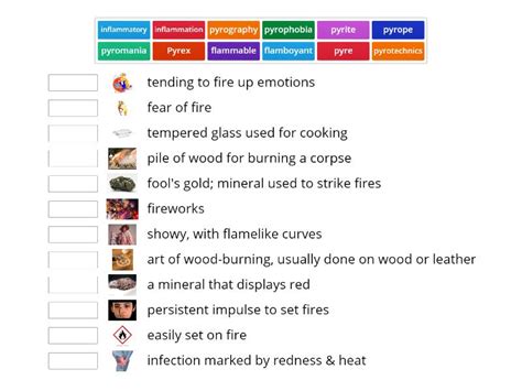 Wk. 16 Greek/Latin Words Flam/Pyro "Fire" - Match up
