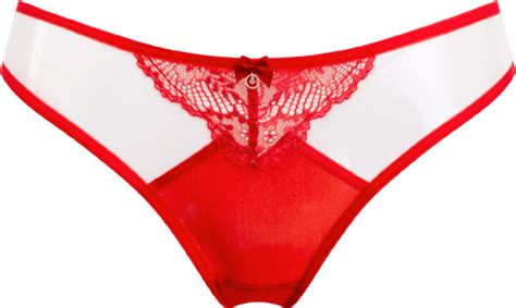 BonBon Lingerie Women S Red Dhalia Full Brief ShopStyle Knickers