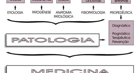 Patologia O Que Significa - Patologia Geral web: O QUE É PATOLOGIA?