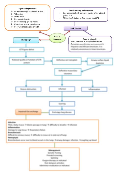 Solution Cystic Fibrosis Concept Map Studypool