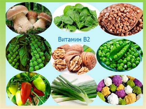 В каких продуктах есть витамин b: 5 продуктов, богатых витамином B12 ...