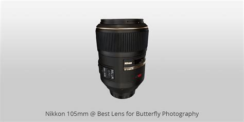 25 Butterfly Photography Tips For Colorful Butterfly Pictures
