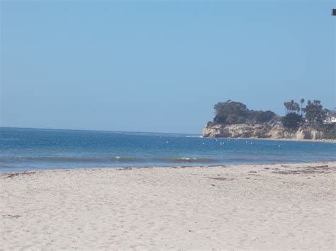 Everything you need to know about connie xarter and her work 8