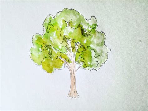 Baum zeichnen lernen - Komplette Anleitung für Einsteiger