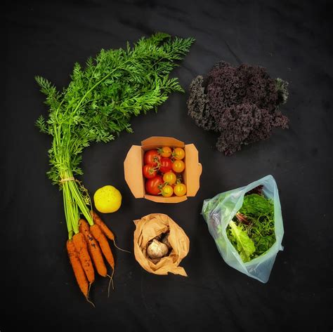 Regular Veg Bags | Lauriston Agroecology Farm - Edinburgh