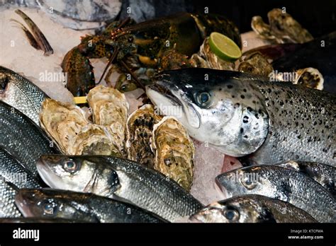 Seafood Cooling On Ice Stock Photo Alamy