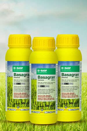 Basagran 460 SL Herbisida BASF Crop Solutions Indonesia