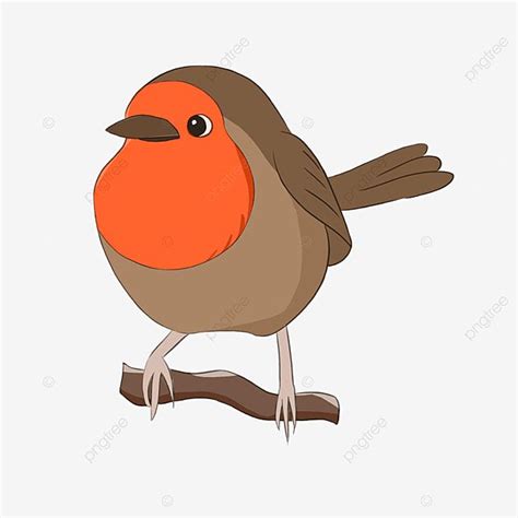 Red Robin Clipart Transparent PNG Hd Robin Cute Red Breasted Cartoon