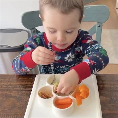 2 Year Olds - Toddler Meal Ideas