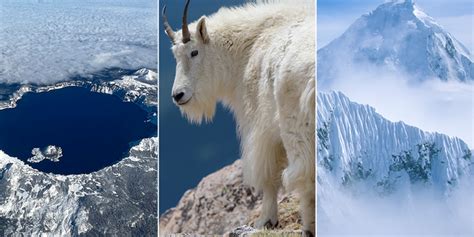 national park week  surprising facts  americas parks