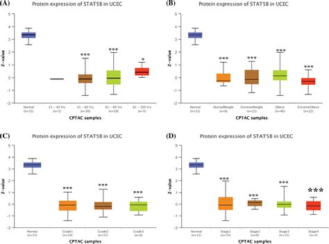 Biocell Free Full Text Identification Of Stat B As A Biomarker For