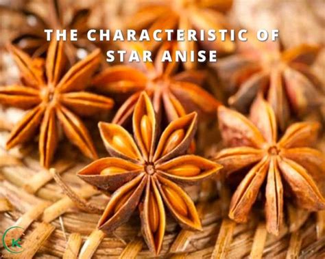 Top 5 Star Anise Exporter In The World K Agriculture