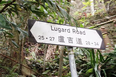 How to get to The Peak View ? + My secret discovery - Stevie Wong