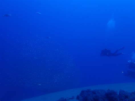 The Thrill of Deep Diving: A Beginner’s Introduction | Scuba Legends