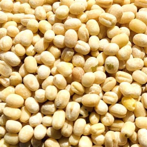 Black Gram Urad Dalsplit
