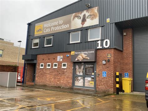 Charity with homing centre in Harrow warns of 'pet welfare crisis