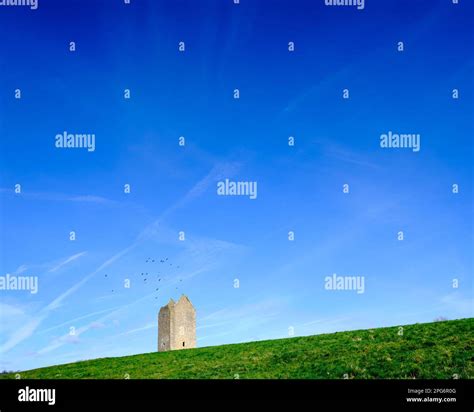 The Dovecote With Crows Flying Over Stock Photo Alamy